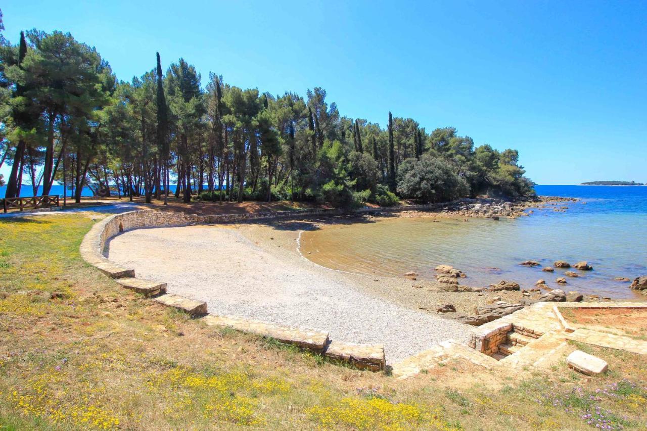 Vila Una With Private Pool Near Rovinj - Open 2022 Rovinjsko Selo Esterno foto
