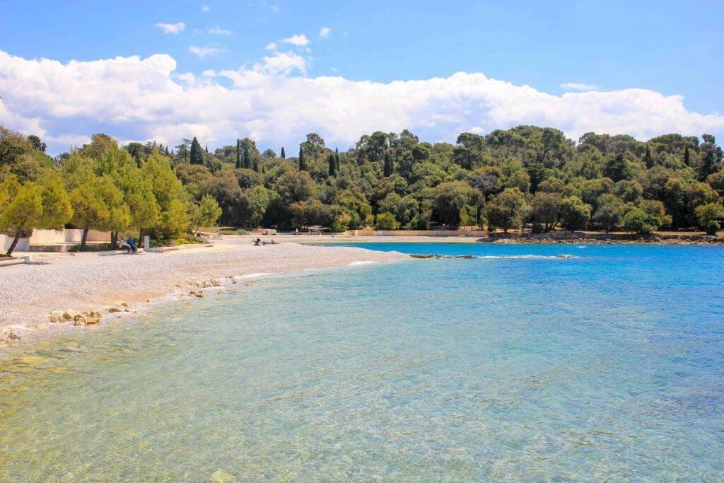 Vila Una With Private Pool Near Rovinj - Open 2022 Rovinjsko Selo Esterno foto